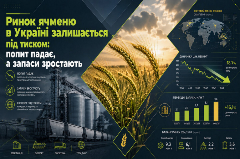 Ринок ячменю в Україні залишається під тиском: попит падає, а запаси зростають