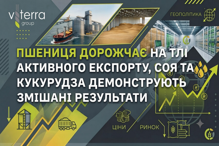 Зернові ринки коливаються: пшениця дорожчає, а соя втратила позиції