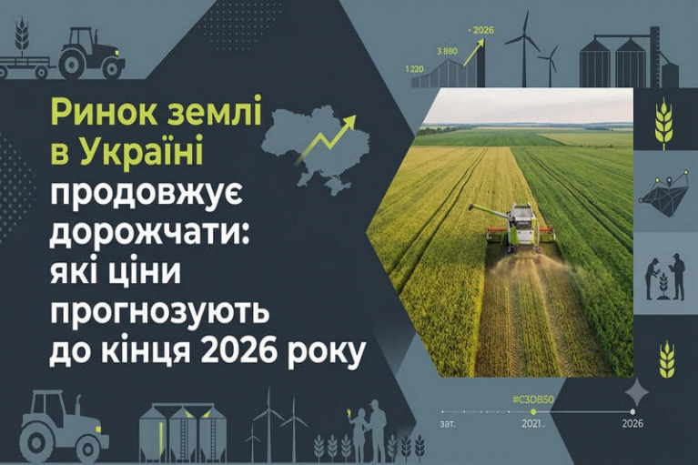Український ринок землі встановлює нові орієнтири: що буде з цінами у 2026 році